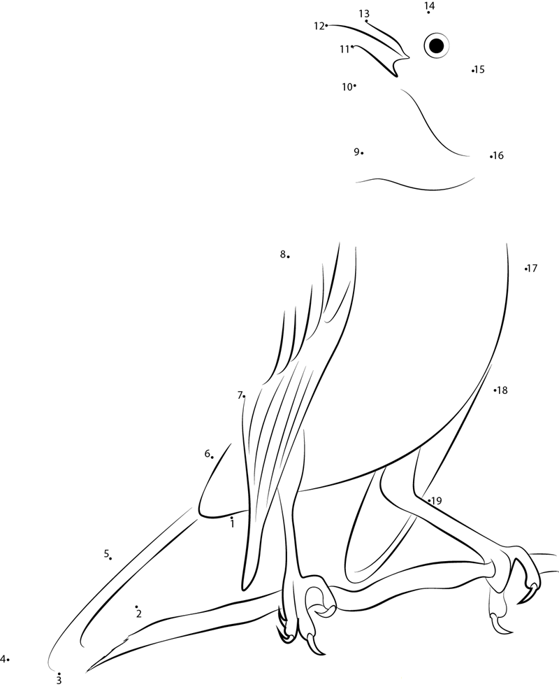 Commons Wild Mockingbird printable dot to dot worksheet