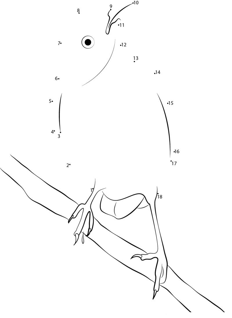 Floreana Mockingbird printable dot to dot worksheet
