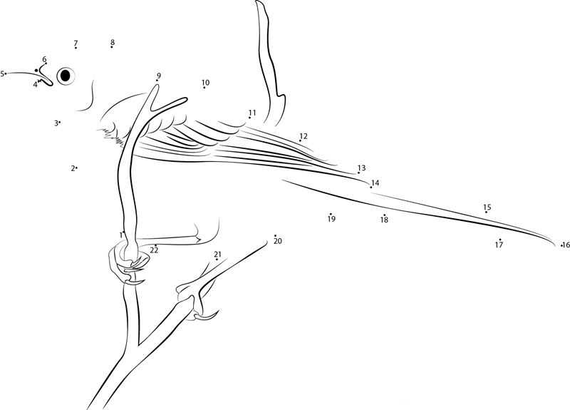 Hang On Tree Mockingbird dot to dot worksheets