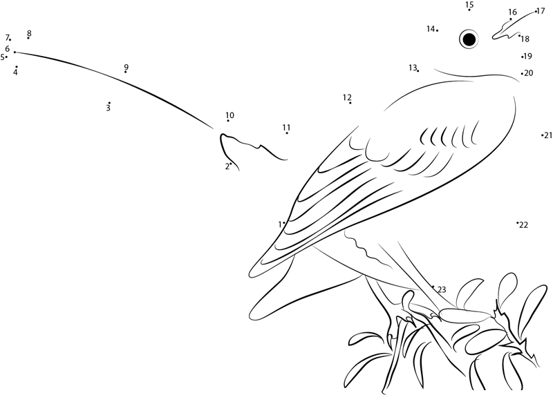 Mockingbird Legs Extended dot to dot worksheets