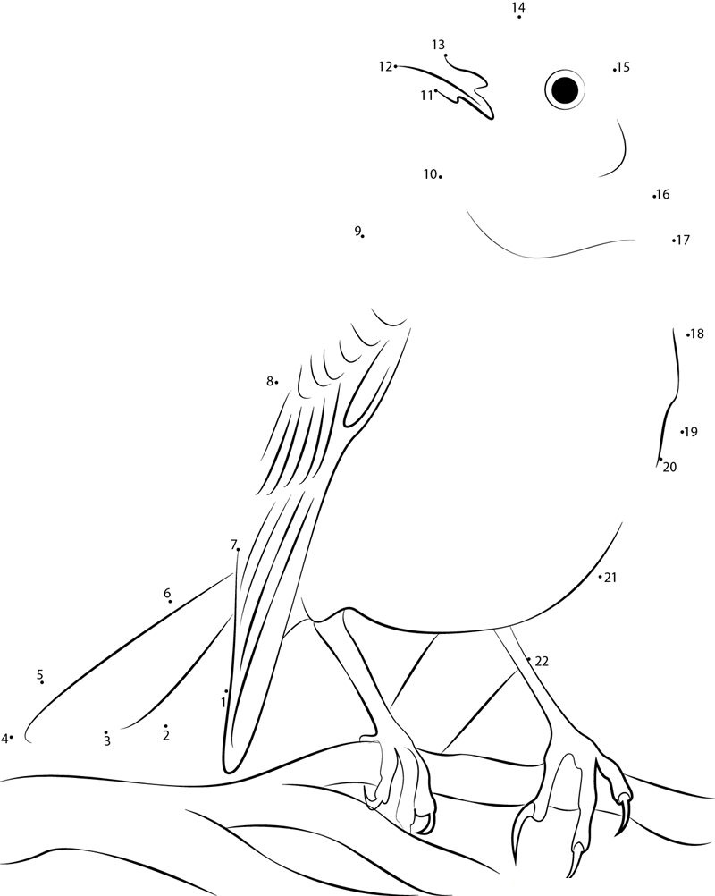 Mockingbird Miller printable dot to dot worksheet