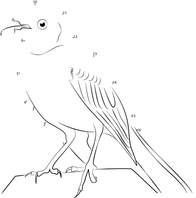 Mockingbird Pic printable dot to dot worksheet