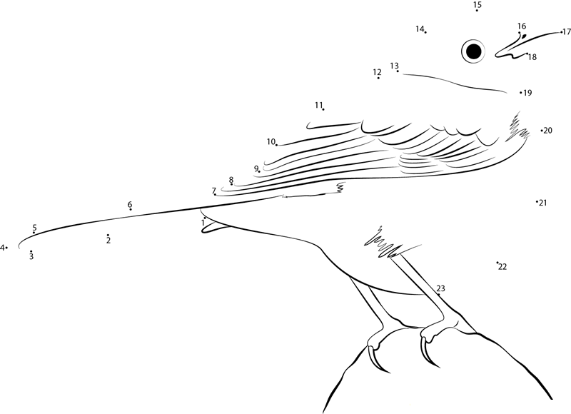 Mockingbird Relax dot to dot worksheets