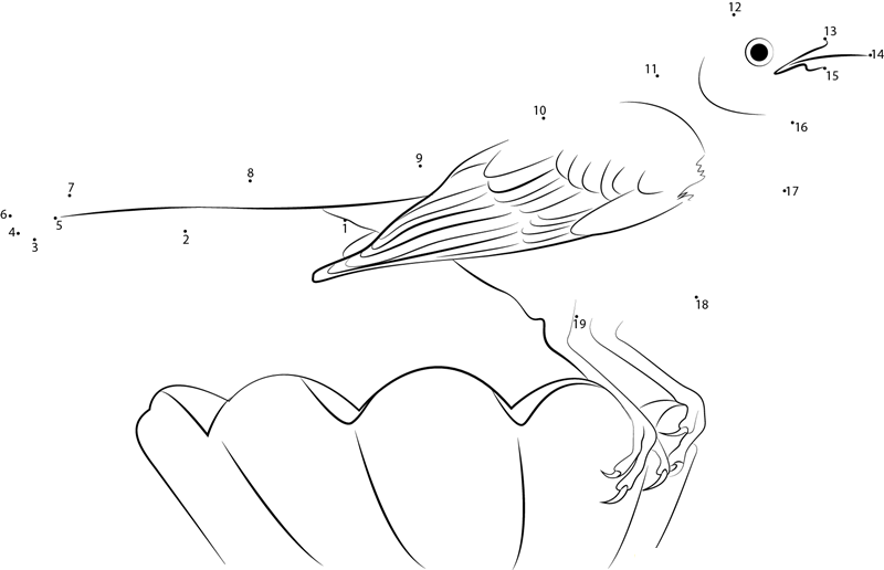 Mockingbird Symbolic Meaning dot to dot worksheets