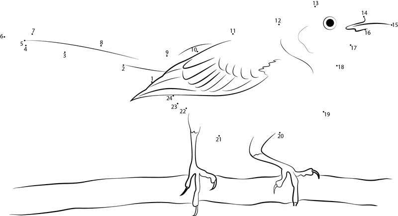 Northern Mockingbird Flying Slowly Around printable dot to dot worksheet