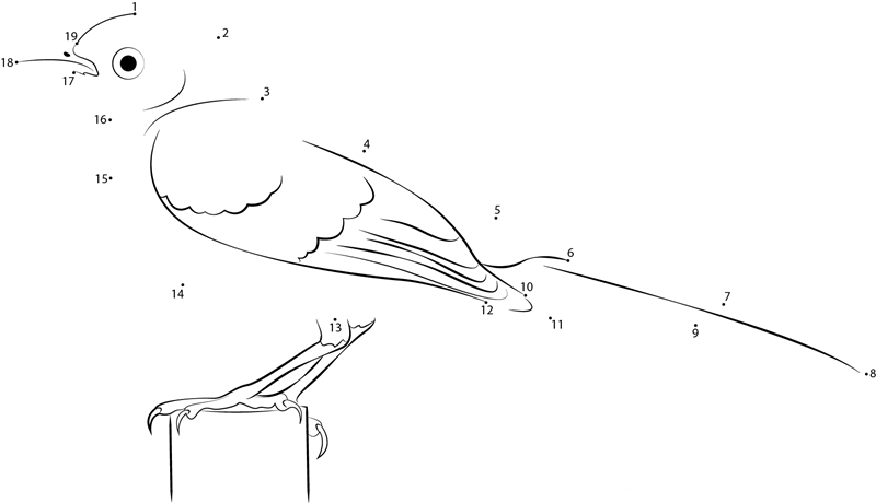 Northern Mockingbird Watched printable dot to dot worksheet