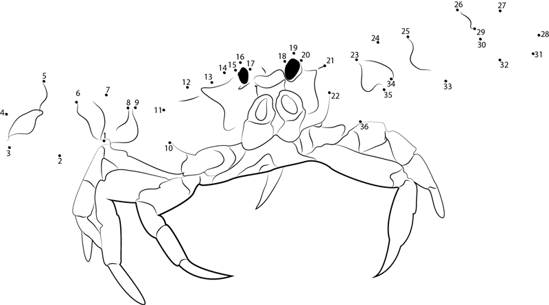 Crab On Beach dot to dot worksheets