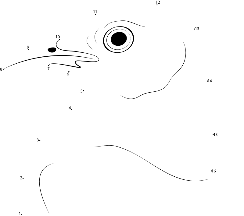 Wild Mockingbird Face printable dot to dot worksheet