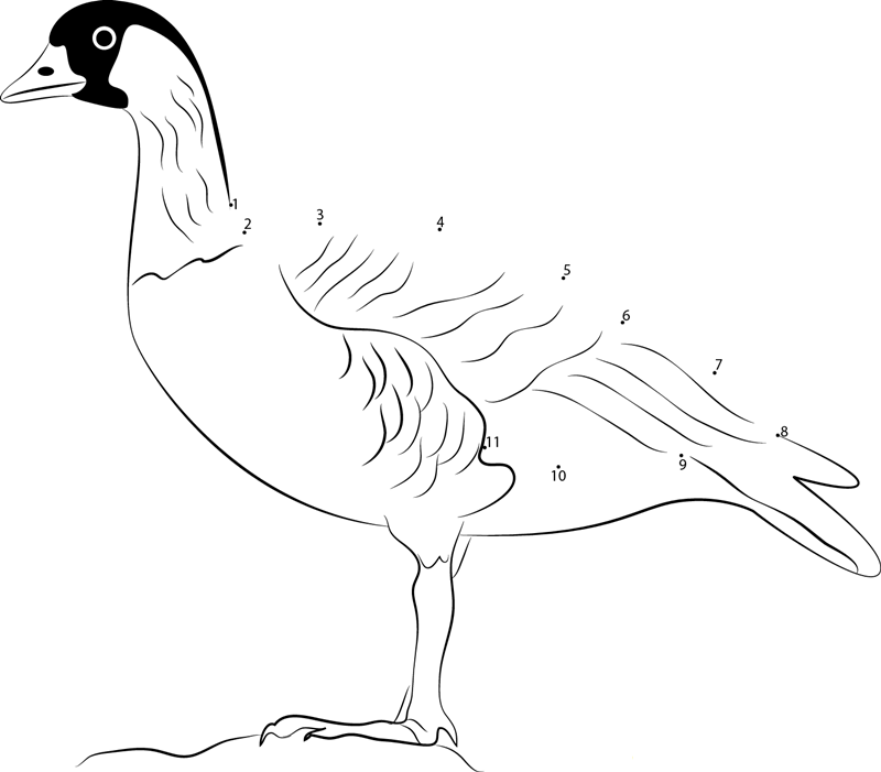 Hawaiian Goose printable dot to dot worksheet