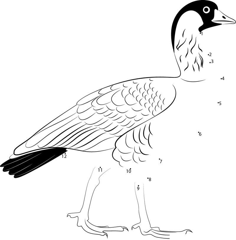 Nene Goose printable dot to dot worksheet