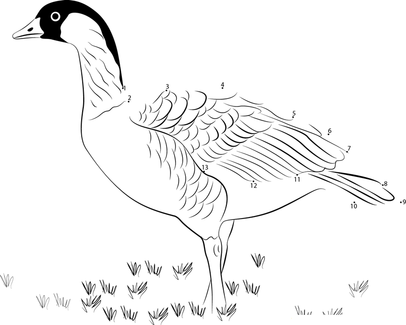 Nene State Bird Of Hawaii dot to dot worksheets