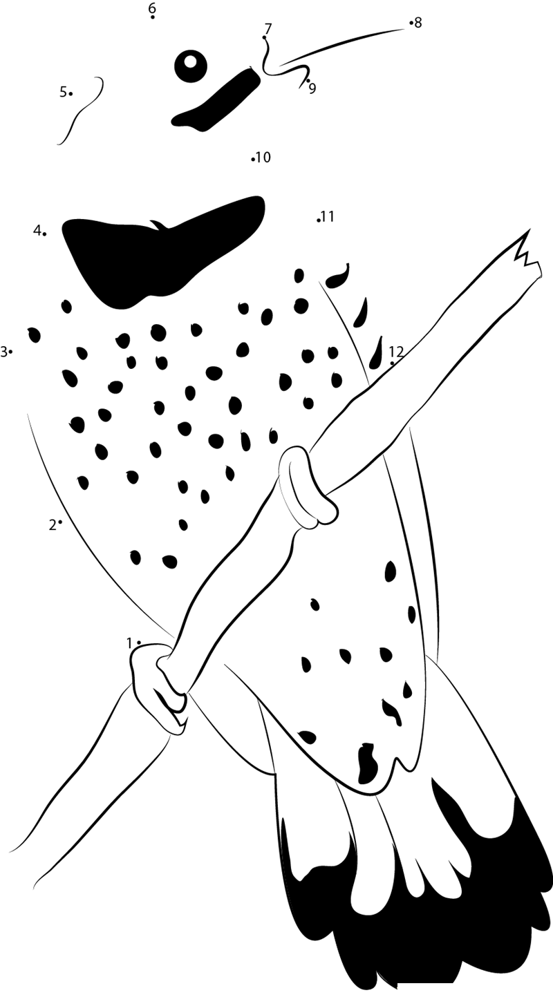 A Male Northern Flicker printable dot to dot worksheet