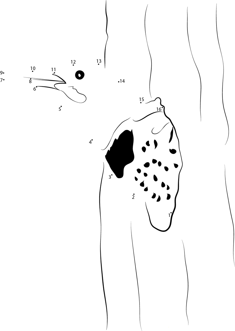 Adult Female Leaving Nest printable dot to dot worksheet