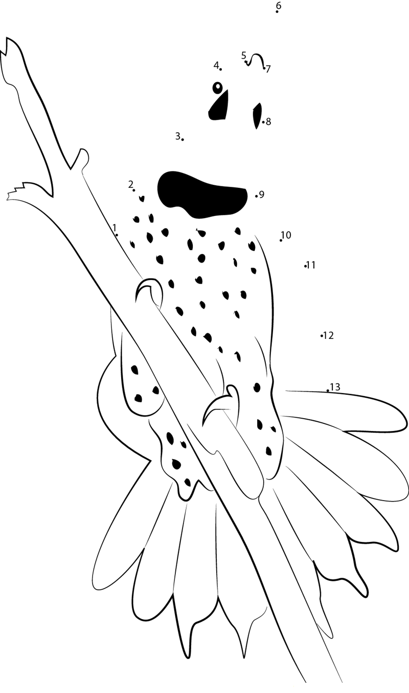 Awesome Birds dot to dot worksheets