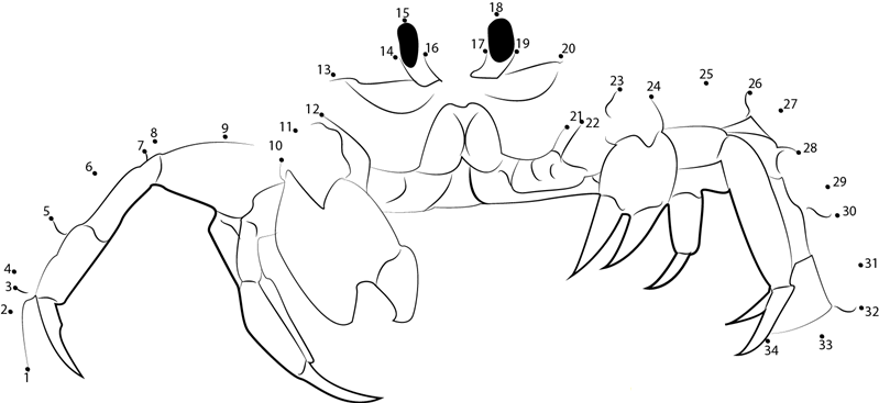 Ghost Crab dot to dot worksheets