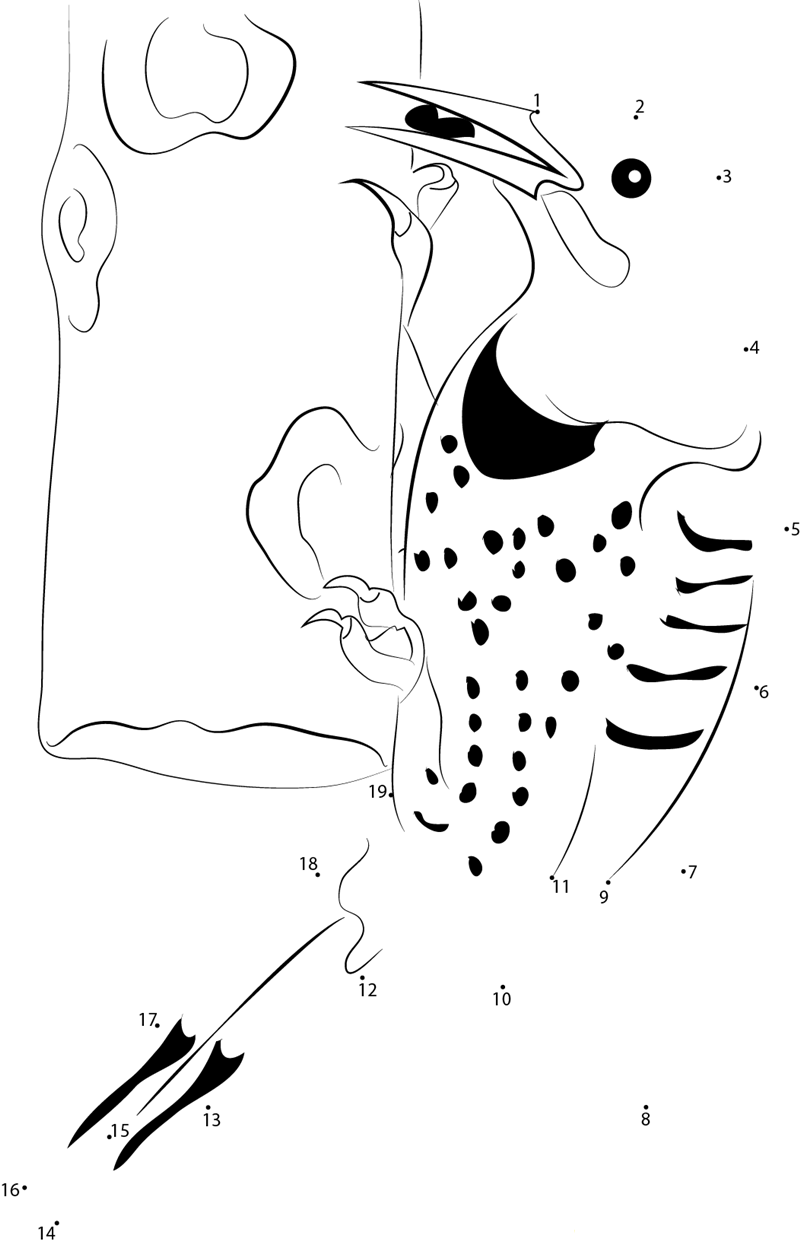 Bird With Red Spot dot to dot worksheets