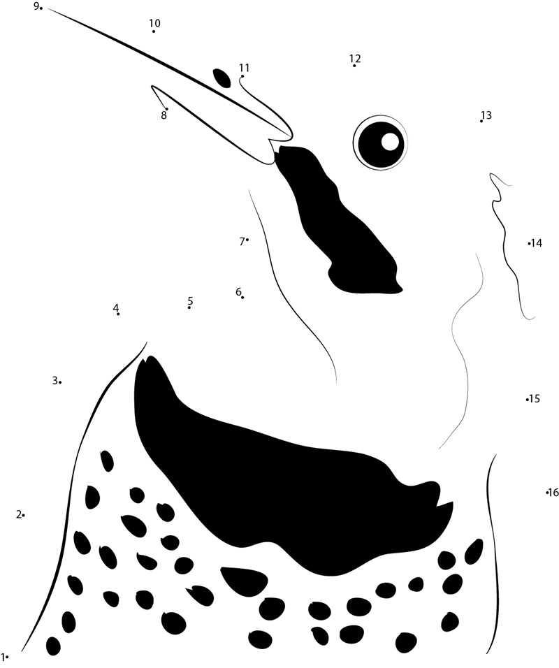 Common Flicker Face dot to dot worksheets