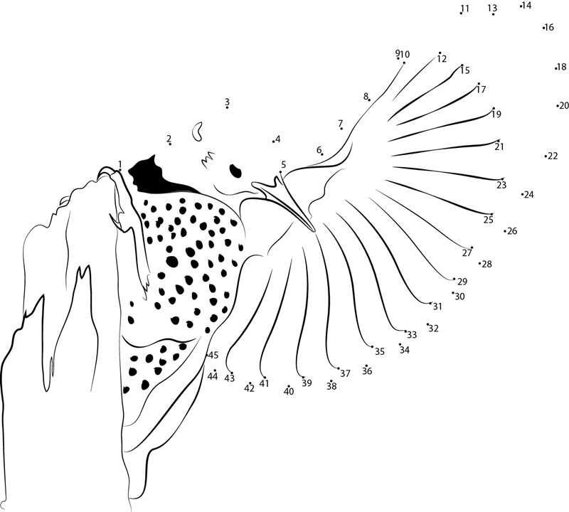 Common Flicker One Wing Fly printable dot to dot worksheet