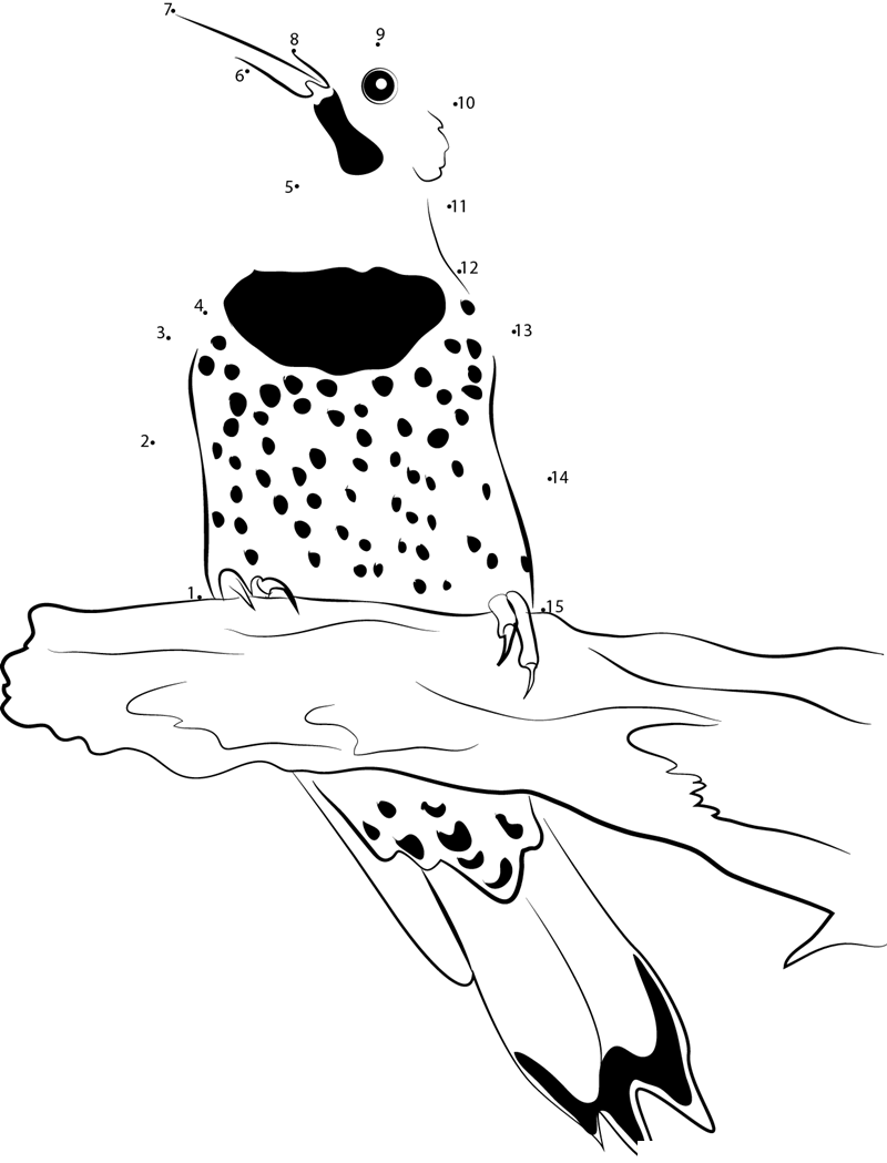 Common Flicker Rest printable dot to dot worksheet