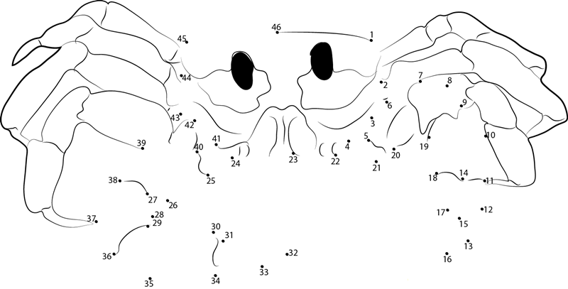 Ghost Crab Reduced printable dot to dot worksheet