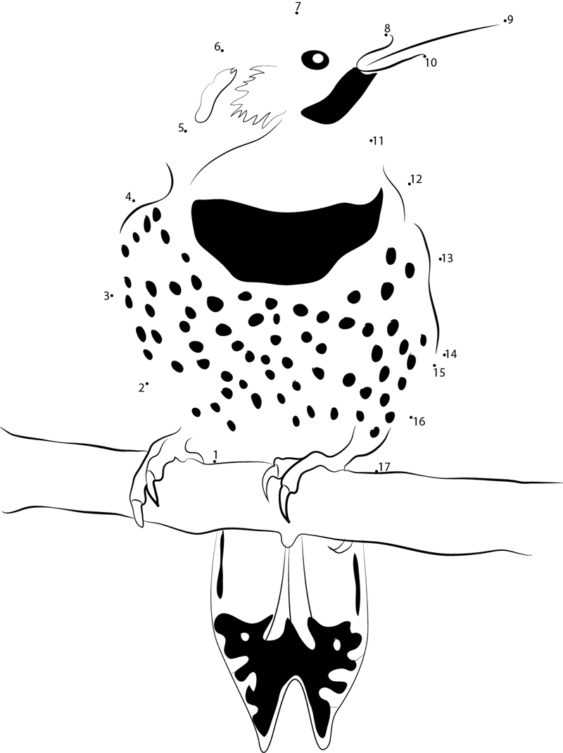 I Love These Northern Flickers printable dot to dot worksheet