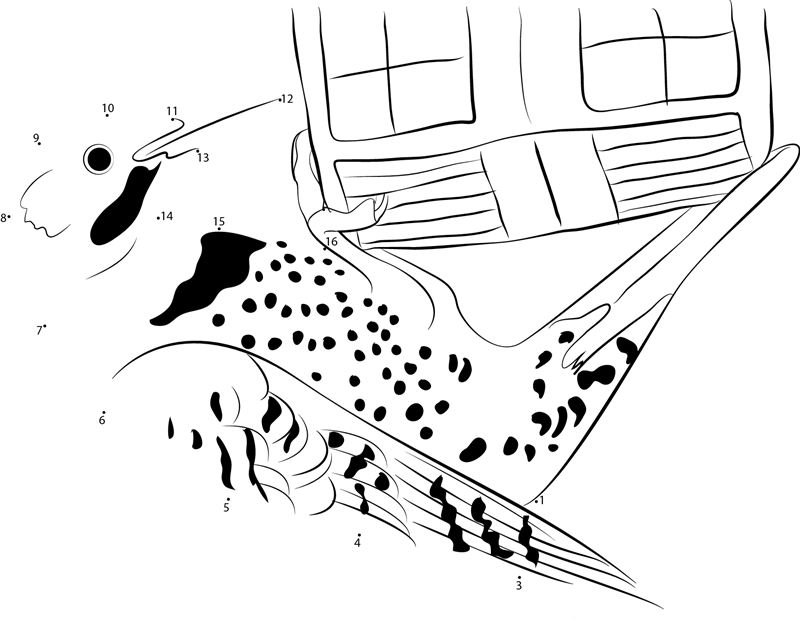 Northern Flicker At Feeder printable dot to dot worksheet