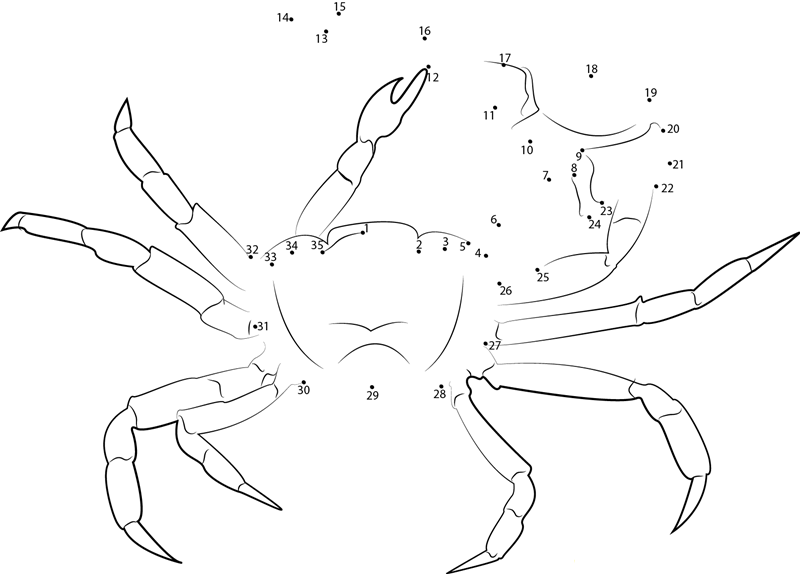 Gulf Mud Fiddler Crab printable dot to dot worksheet