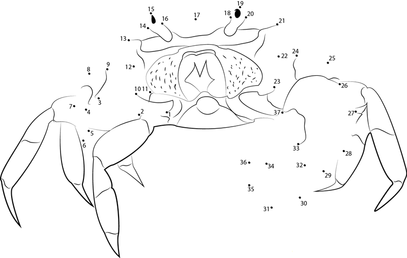 Halloween Crab printable dot to dot worksheet