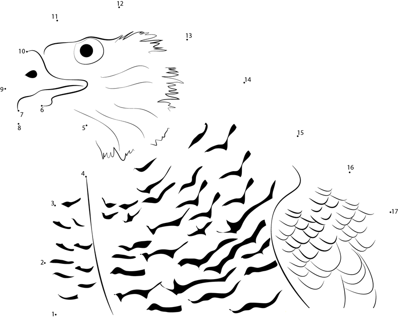 Northern Goshawk Accipiter Gentilis printable dot to dot worksheet