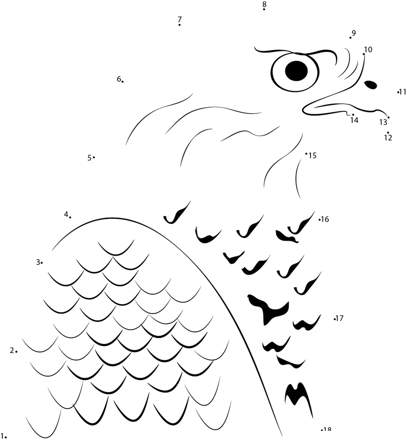 Northern Goshawk Face printable dot to dot worksheet