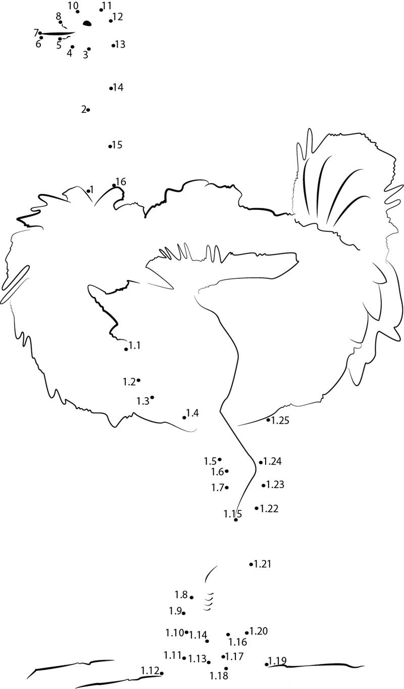 Ostrich Shrinking dot to dot worksheets