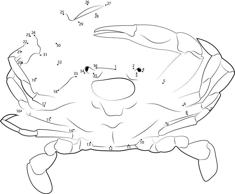 Maryland Crabs dot to dot worksheets