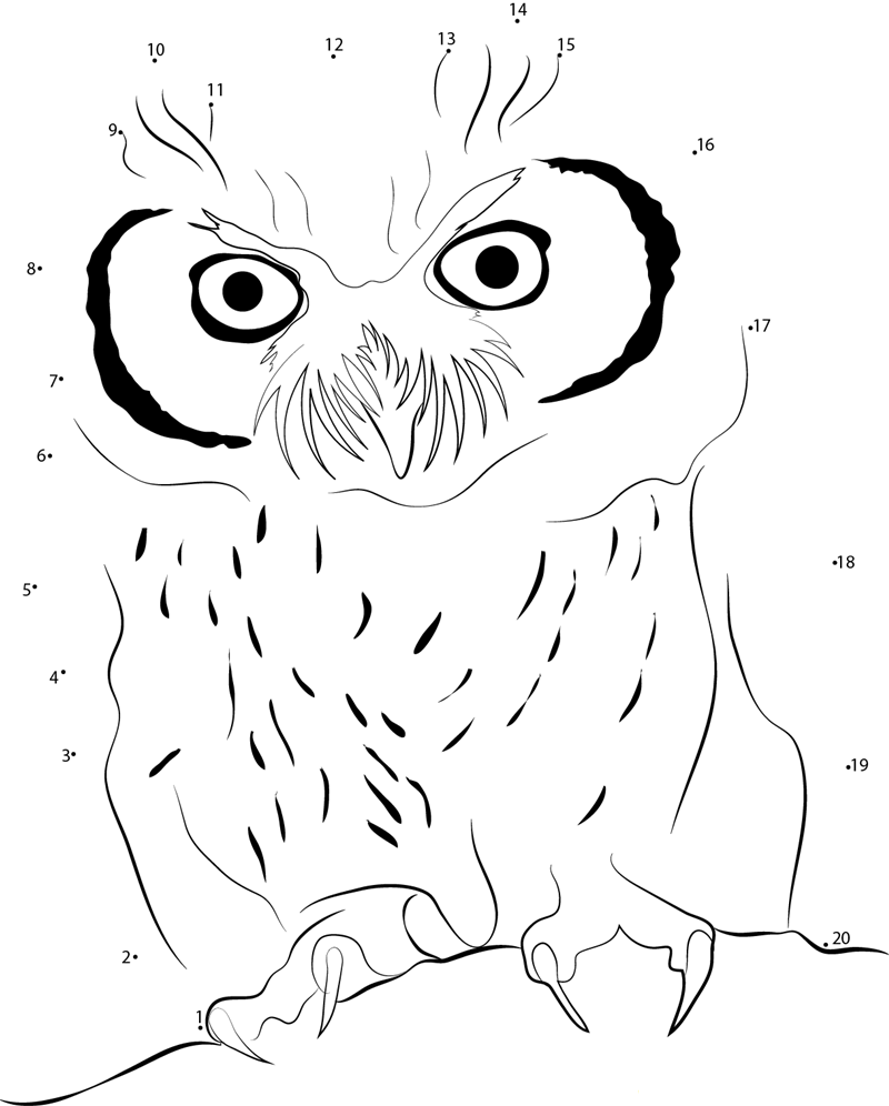 Angry Owl dot to dot worksheets