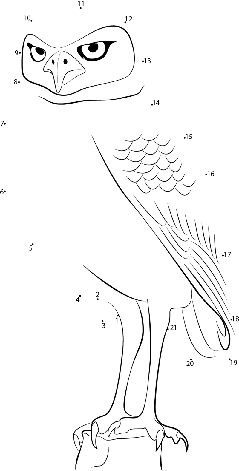 Athene Cunicularia dot to dot worksheets