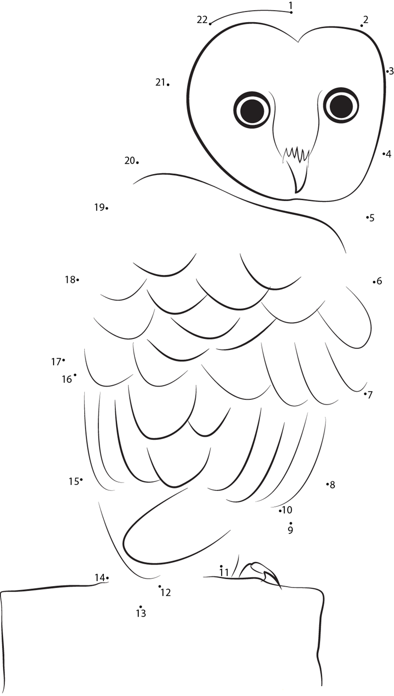 Common Barn Owl dot to dot worksheets