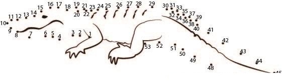 Alligator X27 S Target dot to dot worksheet