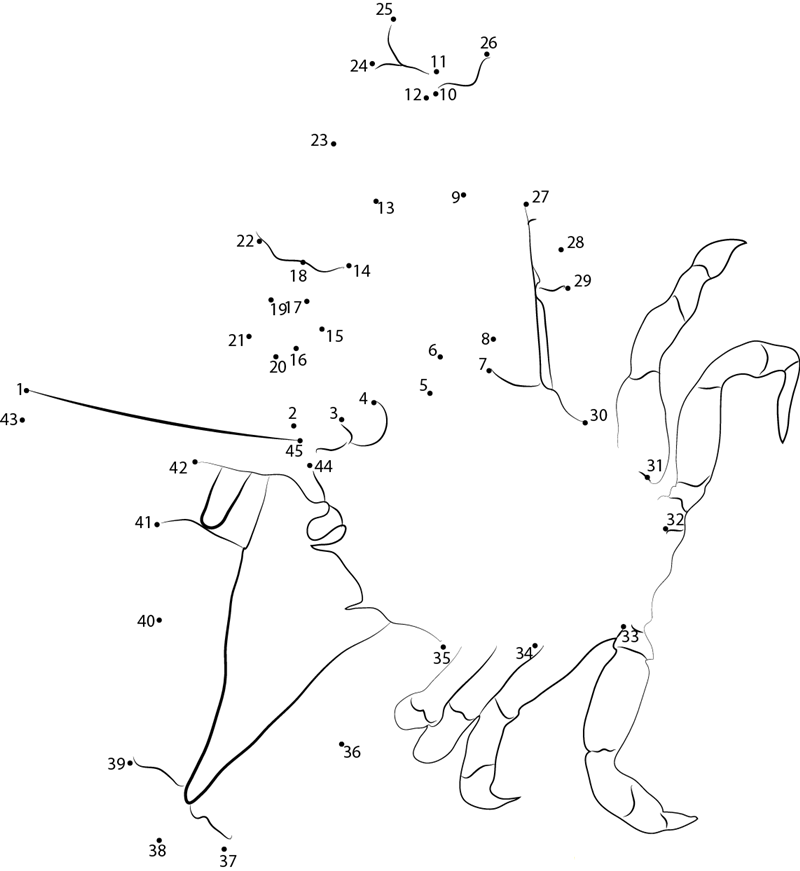 Masked Crab printable dot to dot worksheet