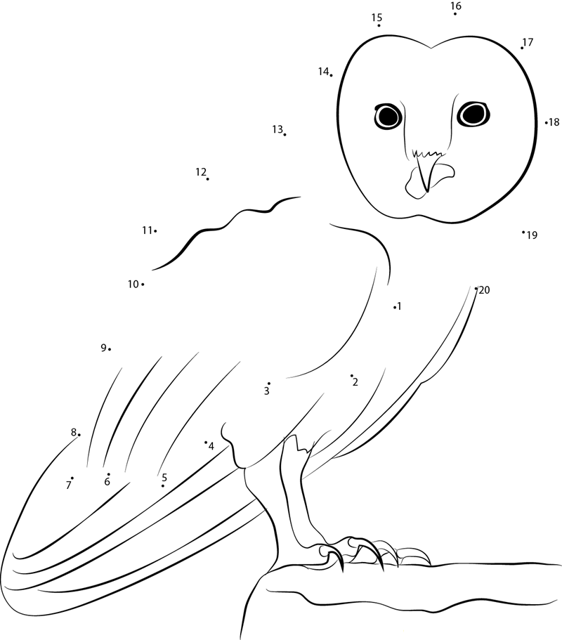 Great Horned Owl dot to dot worksheets