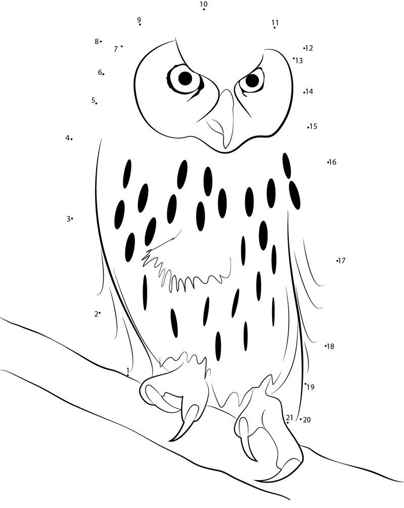 Laughing Owl dot to dot worksheets