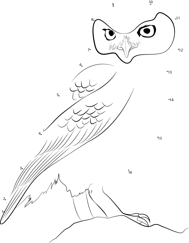 Little Owl dot to dot worksheets