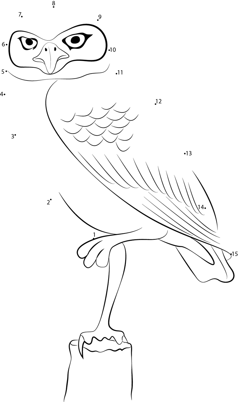 Long Legged Owl dot to dot worksheets