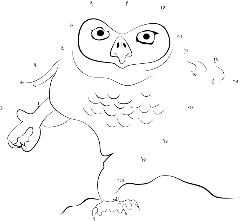 Owl Dance dot to dot worksheets