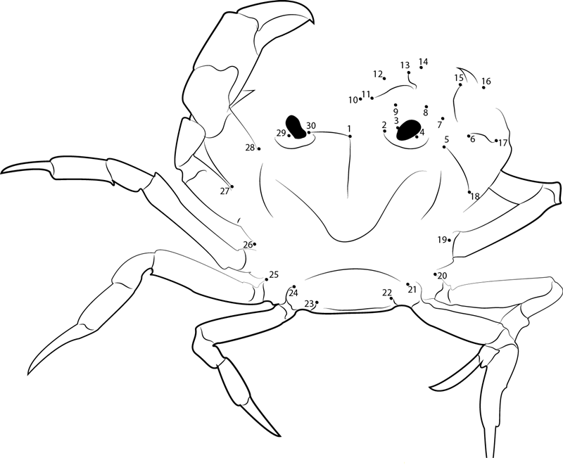 Purple Crab dot to dot worksheets