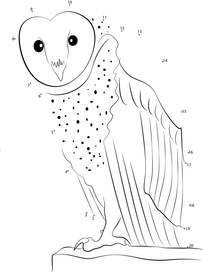 Owl Look At Me dot to dot worksheets