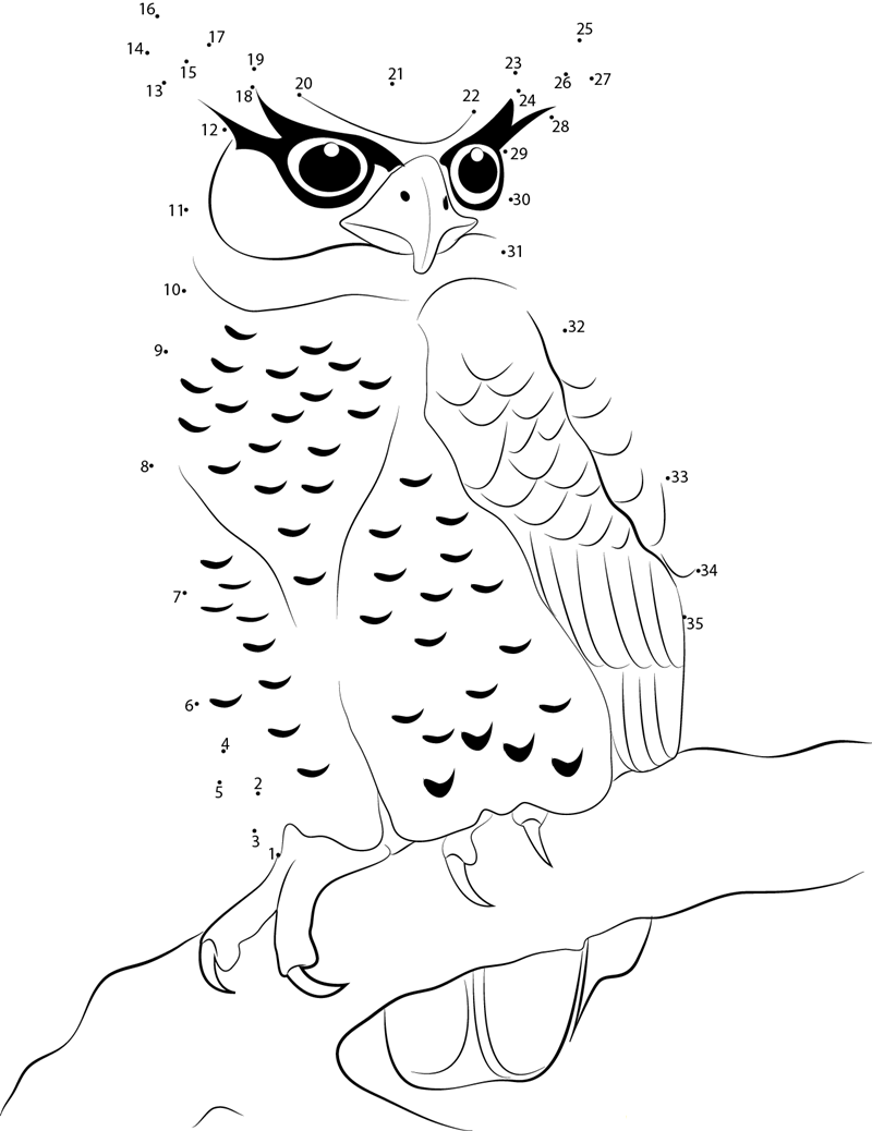 Spot Bellied Eagle Owl dot to dot worksheets