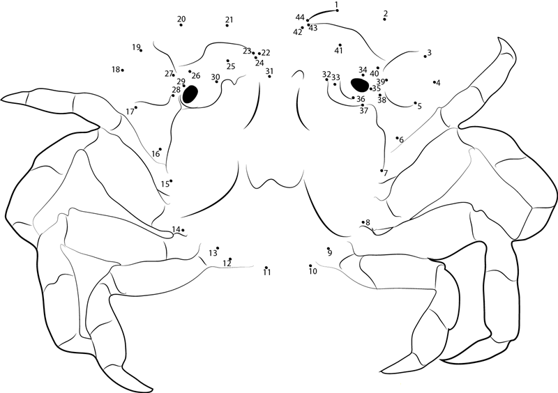 Red Crab printable dot to dot worksheet