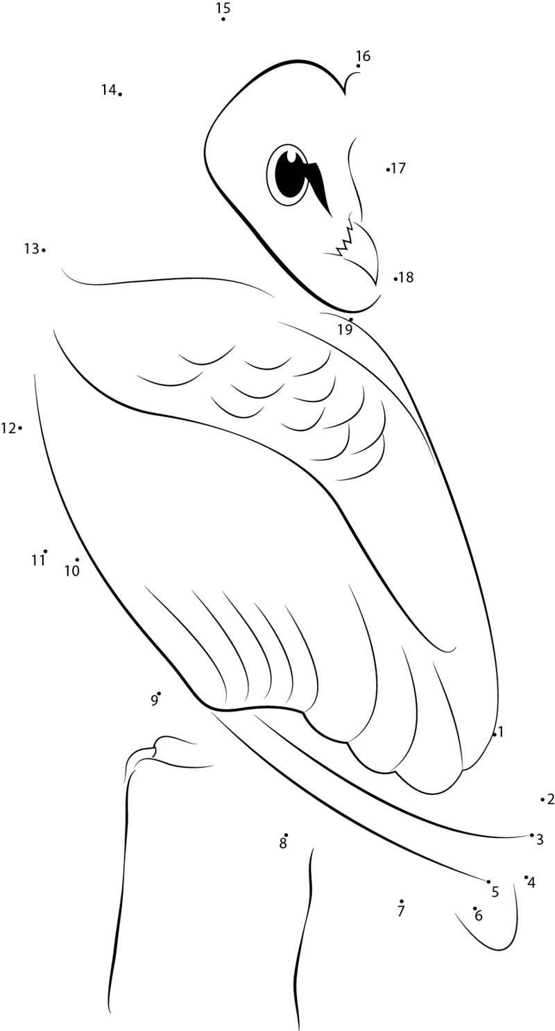 Tyto Alba dot to dot worksheets