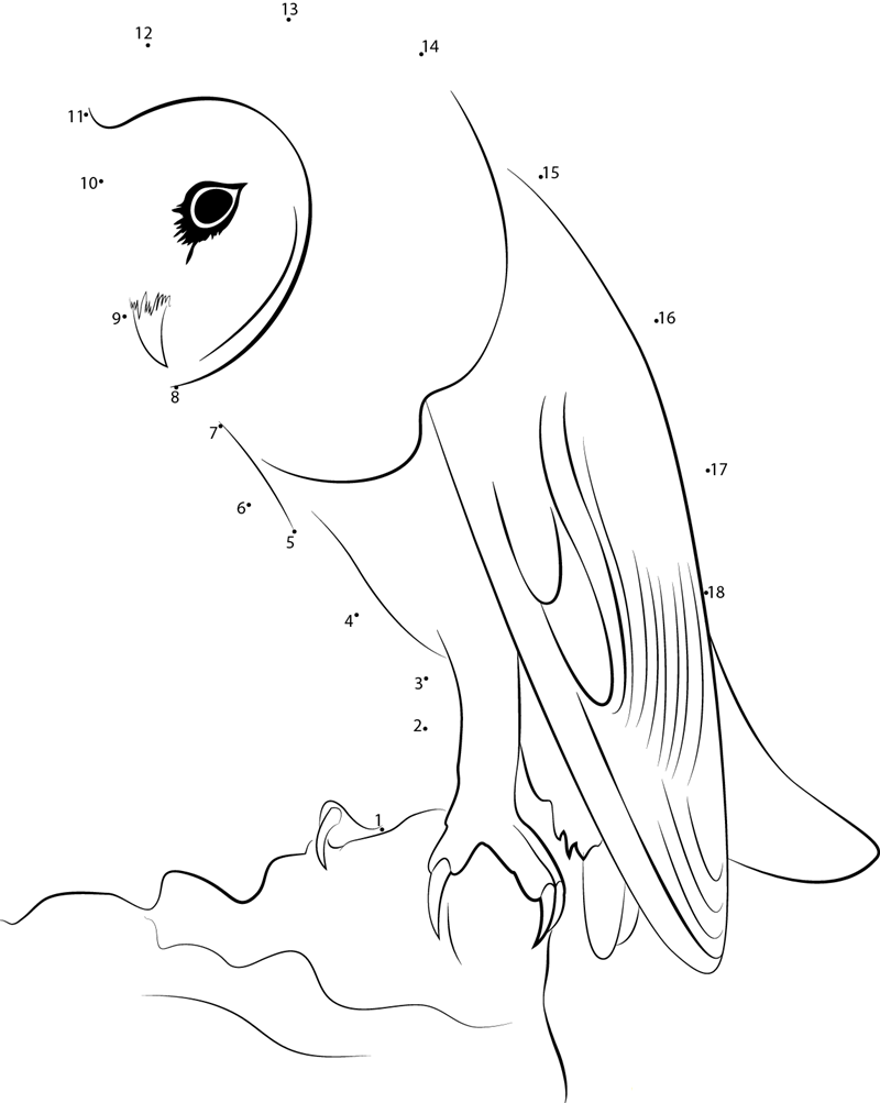 White Faced Owl dot to dot worksheets