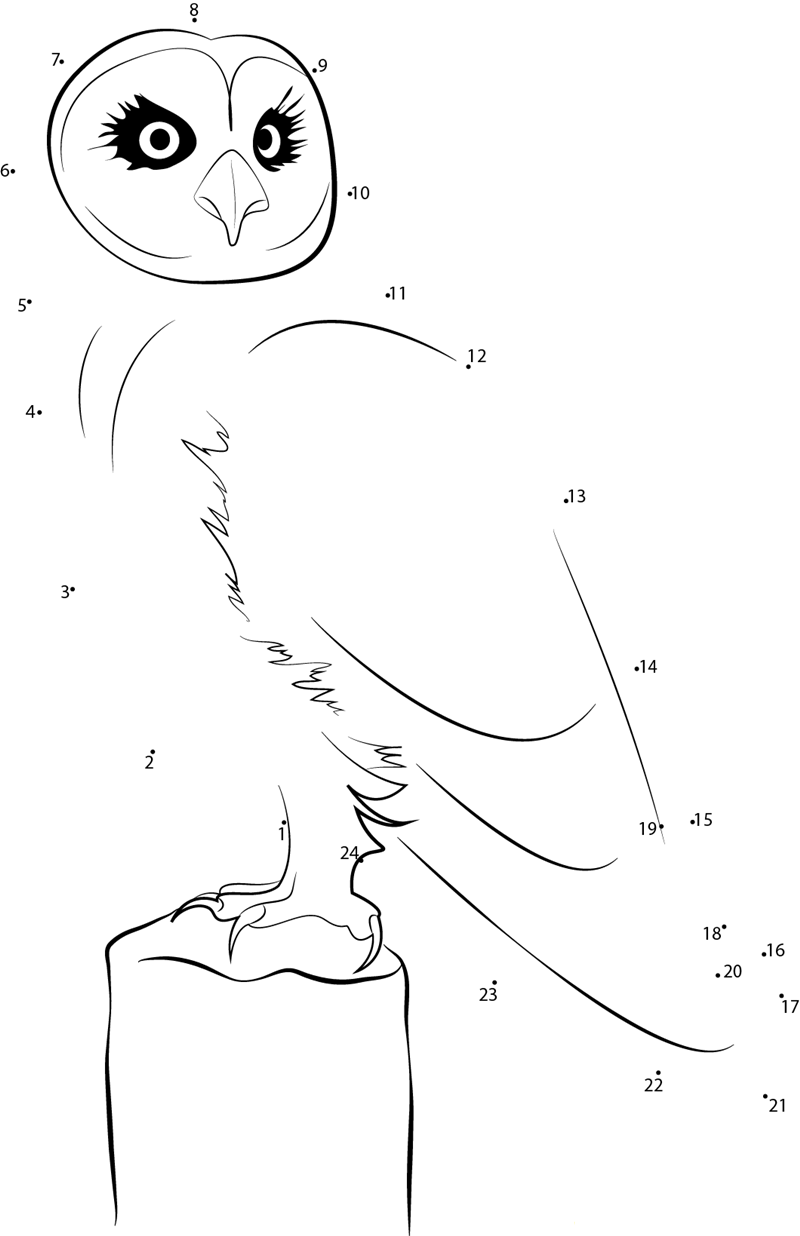 Wild Owl dot to dot worksheets