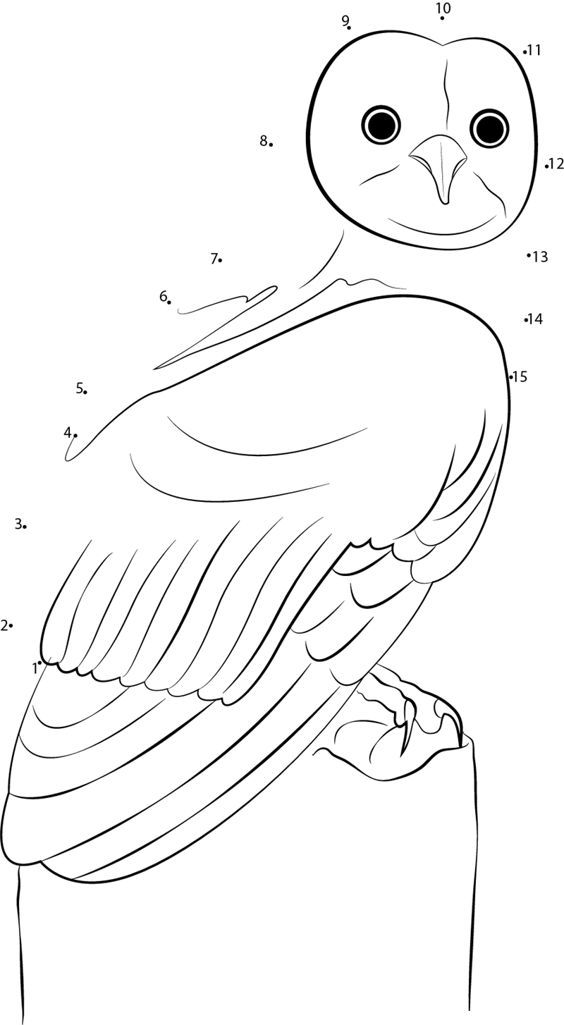 Young Owl dot to dot worksheets